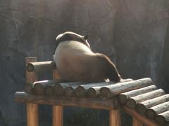 -杭州野生动物世界