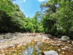 -黑河国家森林公园