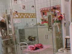 -Pets First伊珊娜洗护·精致美容·家庭式寄养(新会路店)