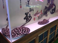 -苏州艺都古玩花鸟市场