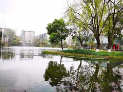 -成飞公园