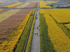 -中国天府农业博览园