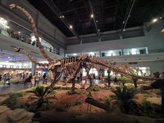 -自贡恐龙博物馆