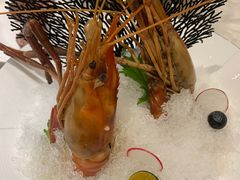 -人间采蜜(海信广场店)