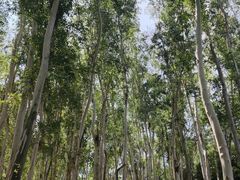 -翠屏湖景区