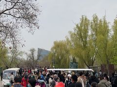-皇家御河游(紫御湾码头)