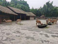 -金沙遗址博物馆