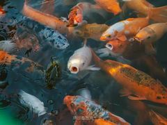 -南昌动物园