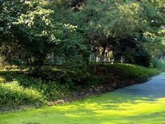 -长白岛森林公园