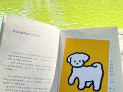 -团结湖公园