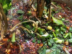 -乐山第一家临江鳝丝(茶坊路店)