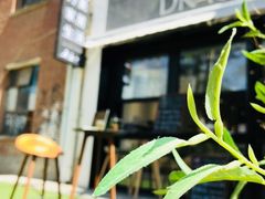 -DK45丹麦家居生活馆·依诺维绅(798店)