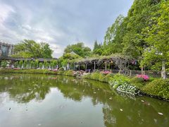 -上海醉白池公园