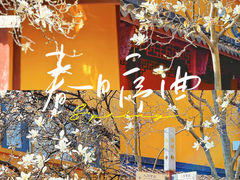 -龙华寺