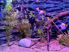 -上海海洋水族馆
