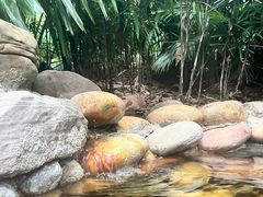 -融汇温泉