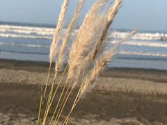 -嵊泗基湖沙滩