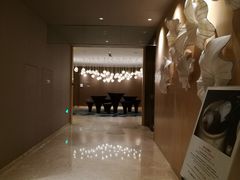 -苏州金鸡湖文博诺富特酒店