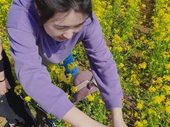 -兰陵国家农业公园