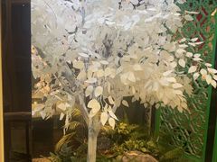 -七欣天香辣蟹火锅(无锡金太湖国际城店)