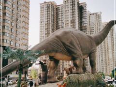 -陕西自然博物馆