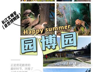在武汉的一天游遍“全国”——园博园