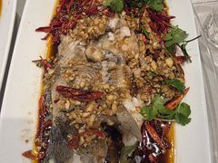 -杨氏青龙虾·羊蝎子(金盛路总店)