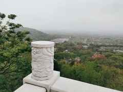 -上海佘山国家森林公园西佘山园