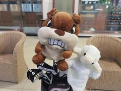 -北京鸿华高尔夫练习场