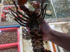 -霞涌市场海鲜摆卖区