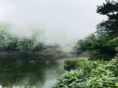 -庐山风景区花径公园
