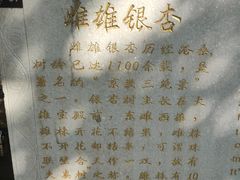 -红螺寺