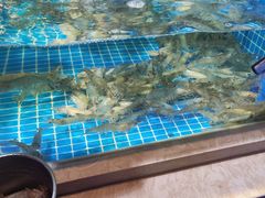 青虾-乔哥铭洋海鲜自助(皇城恒隆广场店)