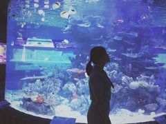 -左海海底世界