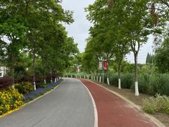 -上海长兴岛郊野公园