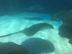 -常州海昌海洋探索馆