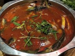 -新凯里酸汤鱼(飞山街店)