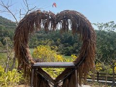 -广州白江湖森林公园