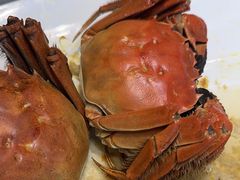 -同庆楼(奥体中心店)