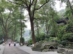 -忠山公园