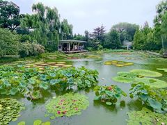 -国家植物园南园