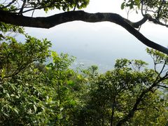 -江西阳明山国家森林公园