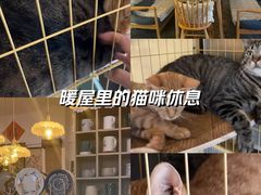 -昼夜咖啡馆