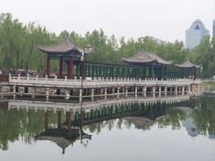 -莲花池公园
