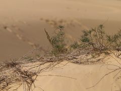-库伦旗银沙湾旅游景区