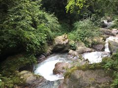 -西岭雪山大飞水景区