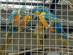 -石家庄市动物园