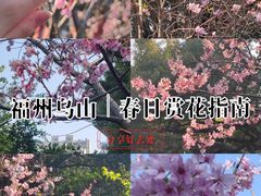 -乌山风景区