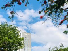 -四海公园(南山区)