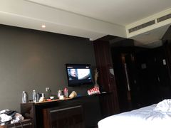 -常州环球恐龙城维景国际大酒店